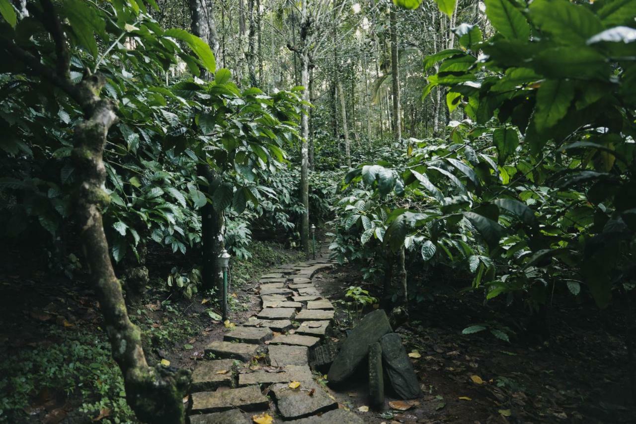 Vaduvanchal 竹溪度假村酒店 外观 照片